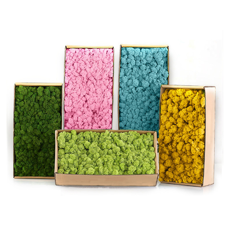 Sphagnum Moss Dry - Искусственные зеленые растения, мини-пейзаж, вечная жизнь,