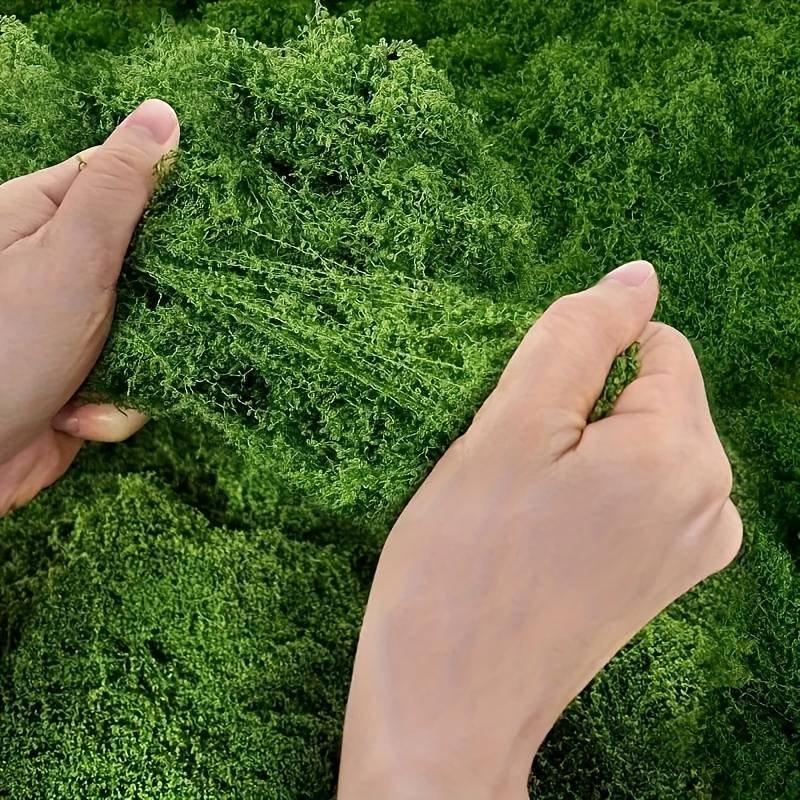 Искусственный моховой коврик 2 – обзор и цена Sphagnum Moss Dry