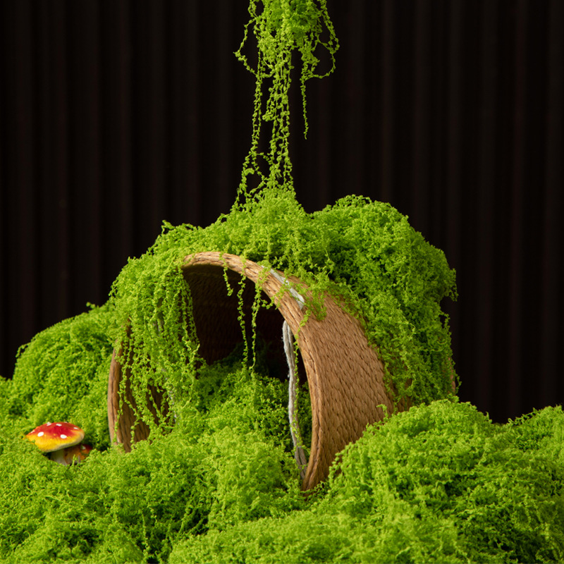 200 г. Искусственный мох «Вечн – обзор и цена Sphagnum Moss Dry