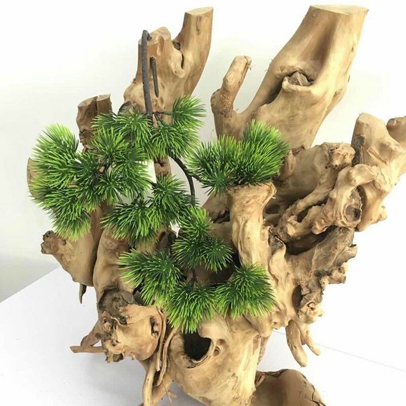 42 см искусственное растение,  – обзор и цена Sphagnum Moss Dry