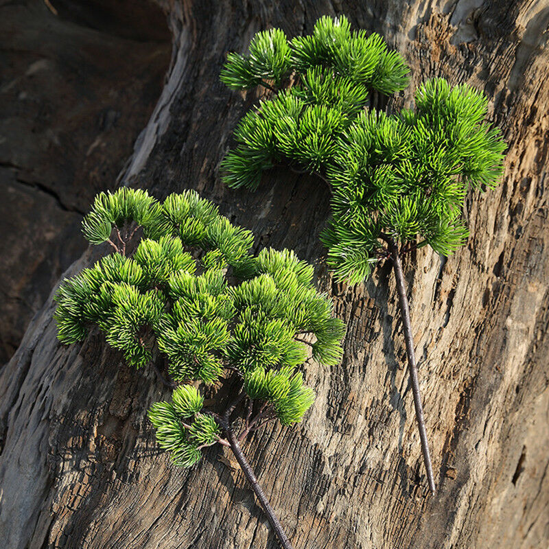 42 см искусственное растение,  – обзор и цена Sphagnum Moss Dry