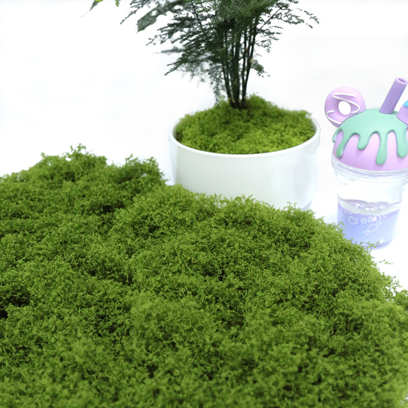 Искусственный мох 50 г для под – обзор и цена Sphagnum Moss Dry