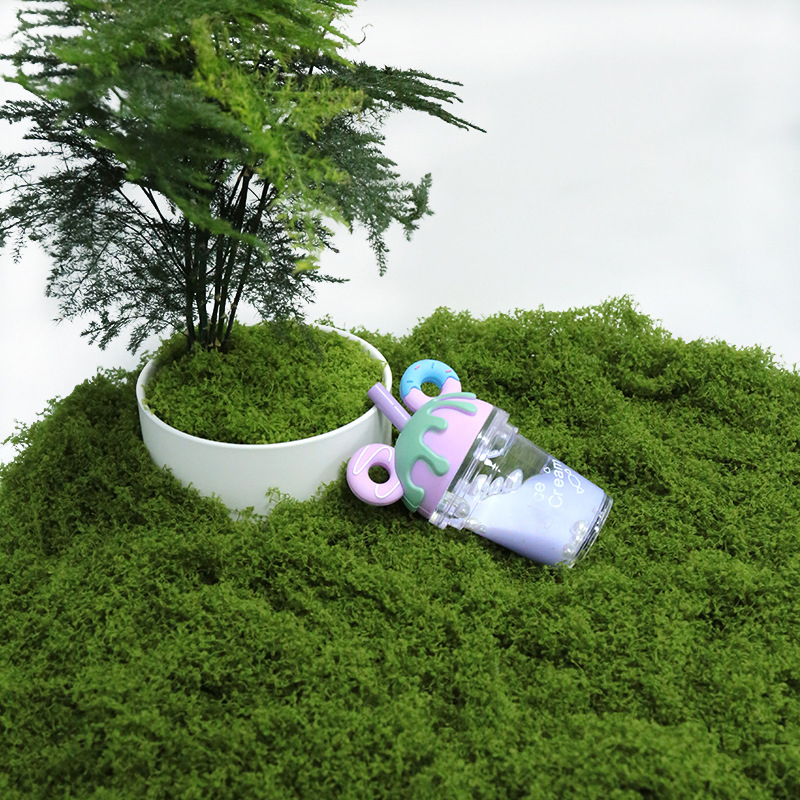 Искусственный мох 50 г для под – обзор и цена Sphagnum Moss Dry