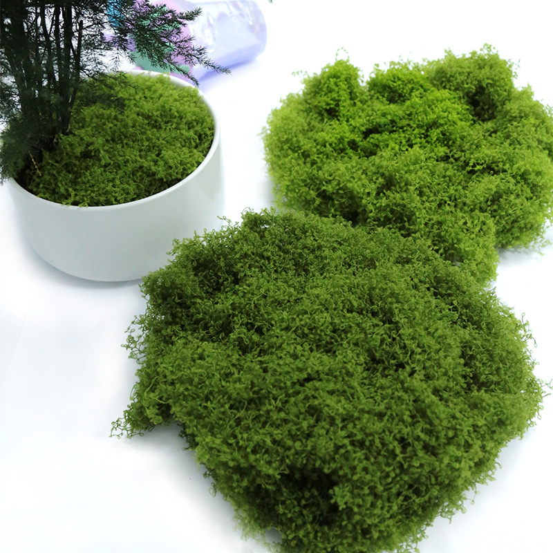 Искусственный мох 50 г для под – обзор и цена Sphagnum Moss Dry