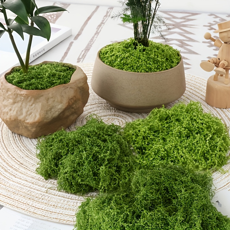 Большая упаковка, реалистичный – обзор и цена Sphagnum Moss Dry